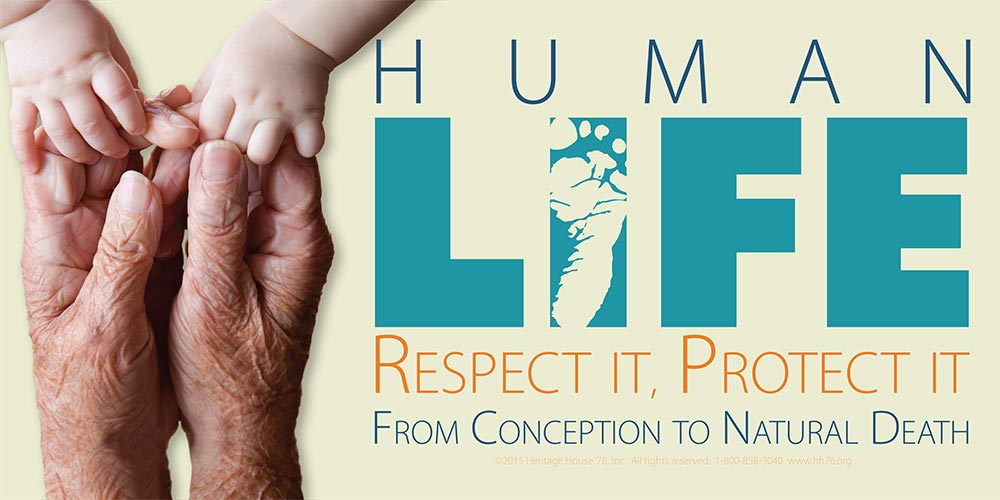 Vinyl Sign, Human Life Respect It