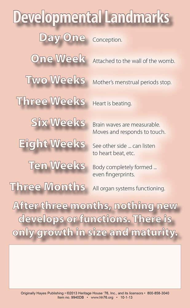 Bulletin, 8 Weeks Developing Unborn Baby: Pack of (100)