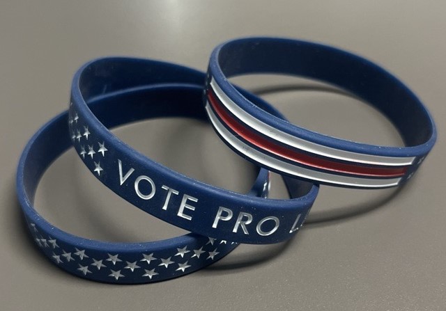 Awareness Bracelet, VOTE PRO LIFE  Bracelet: Pack of (50)