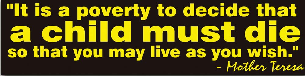 Bumper Sticker, It is a Poverty to Decide