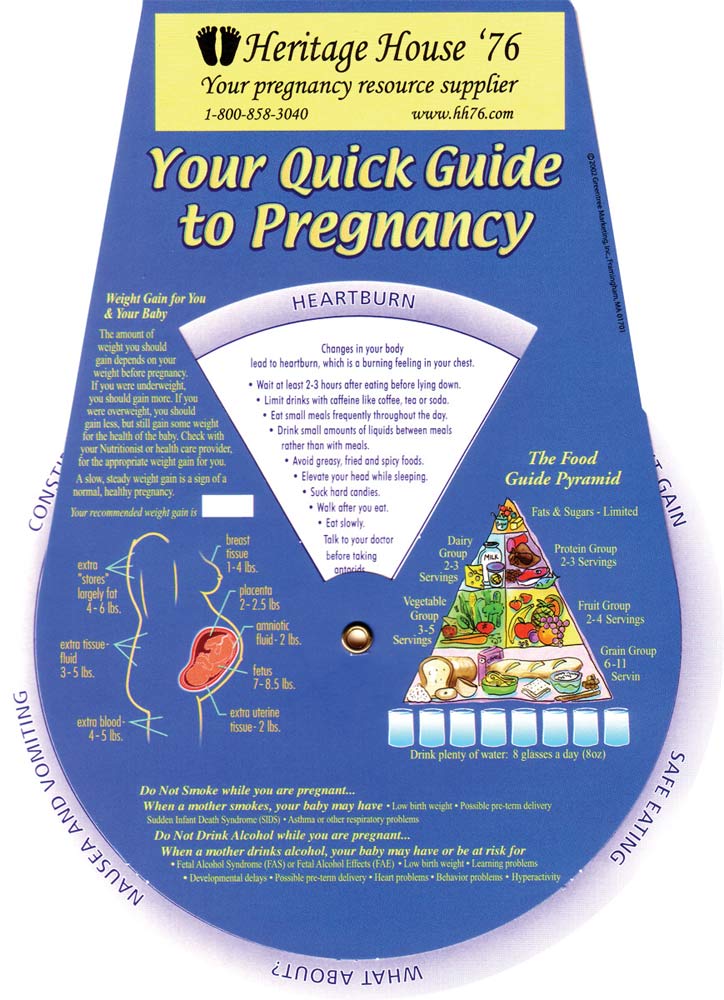 Pregnancy Test Supplies, Pregnancy Guide: Pack of (5)